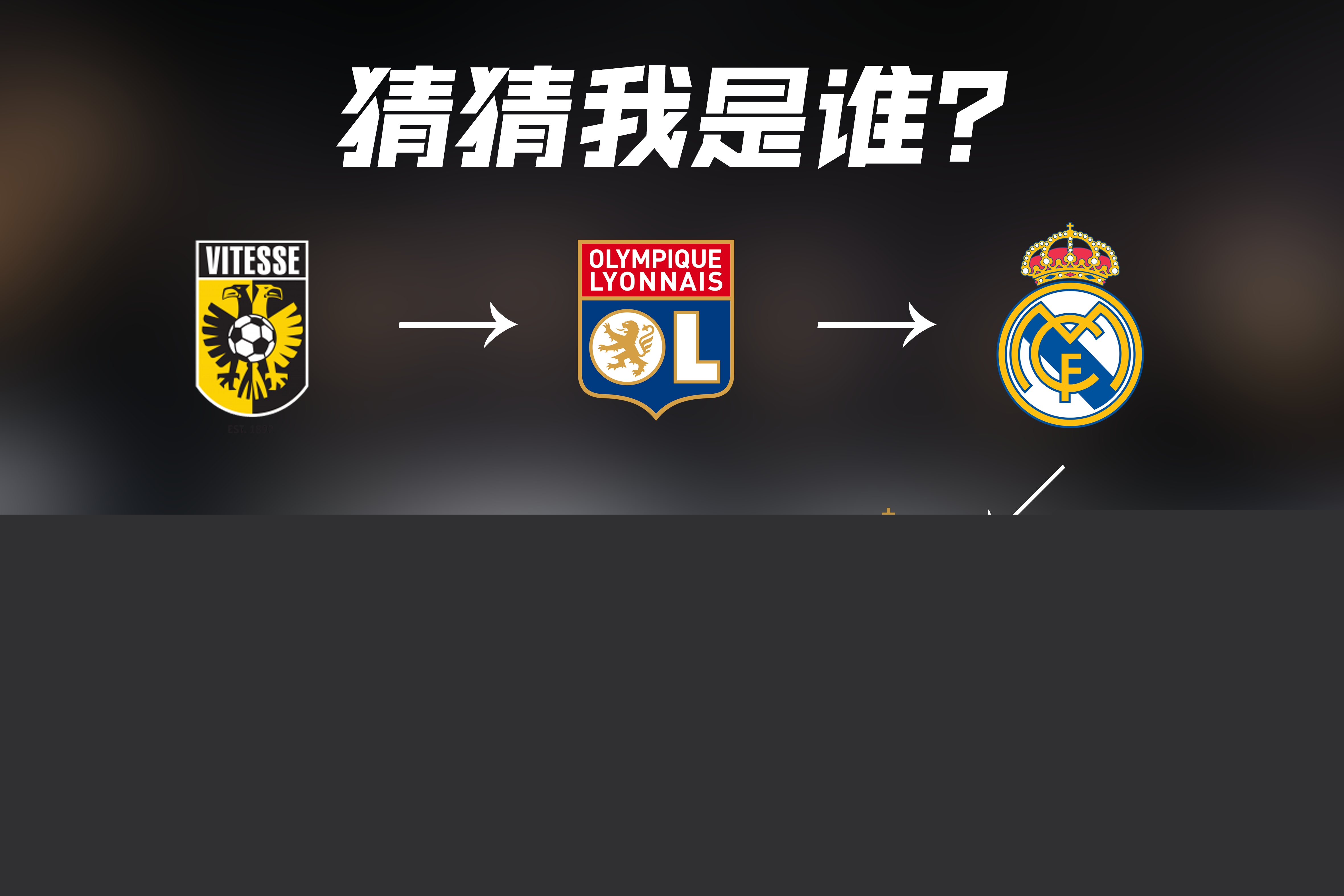 属结论分析